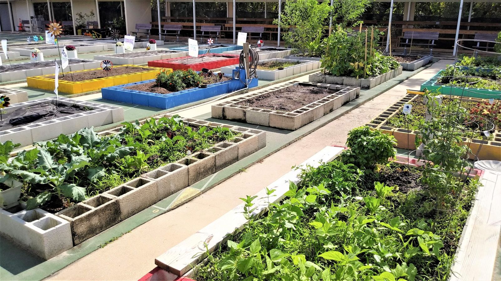 Rows of colorful cinderblock raised garden beds with pinwheels and vegetables growing at Deltona Community Gardens